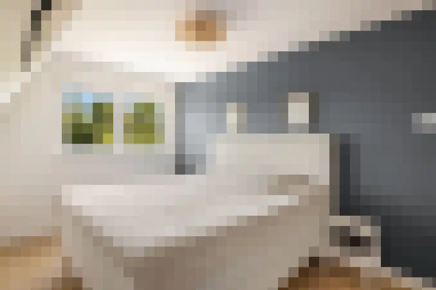 Kerkstraat 53 Oostzaan thumbnail 4