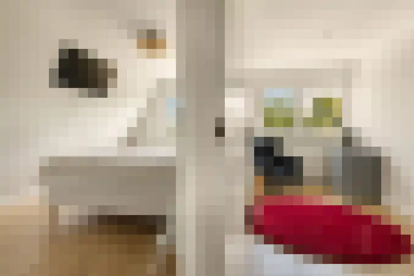 Kerkstraat 53 Oostzaan thumbnail 42