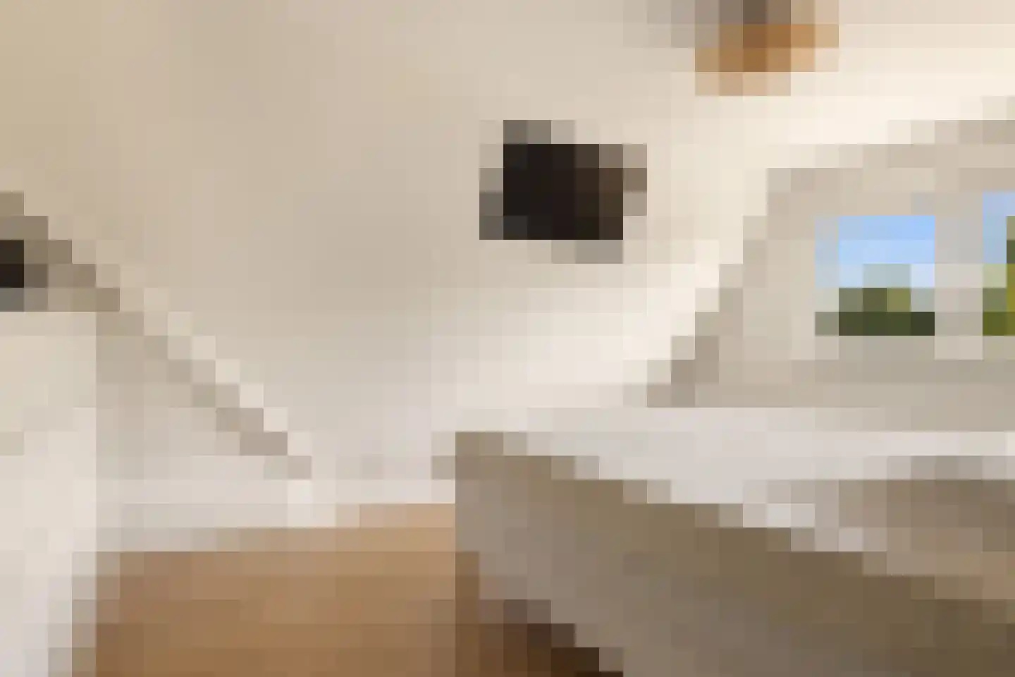 Kerkstraat 53 Oostzaan thumbnail 43