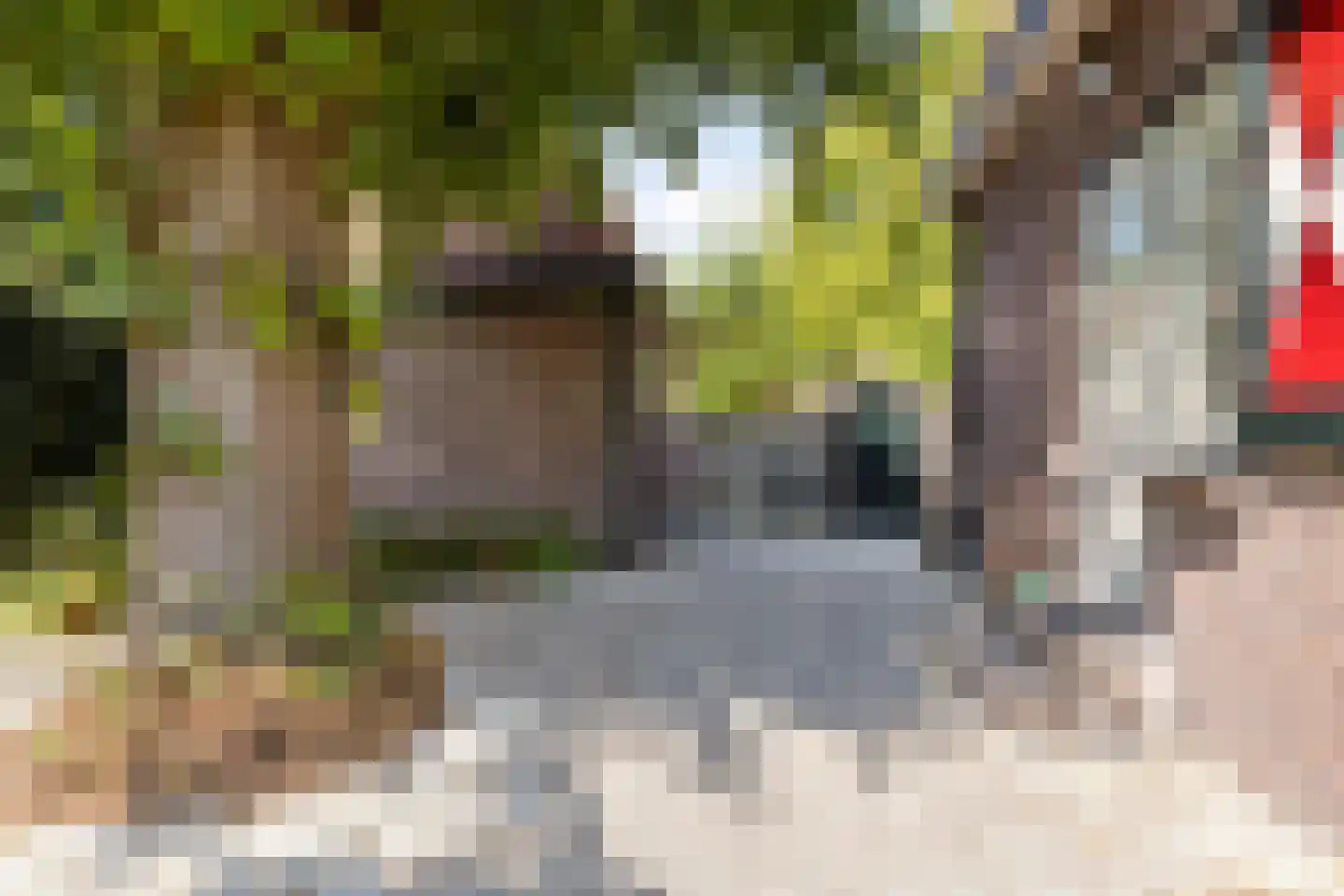 Kerkstraat 53 Wassenaar thumbnail 36