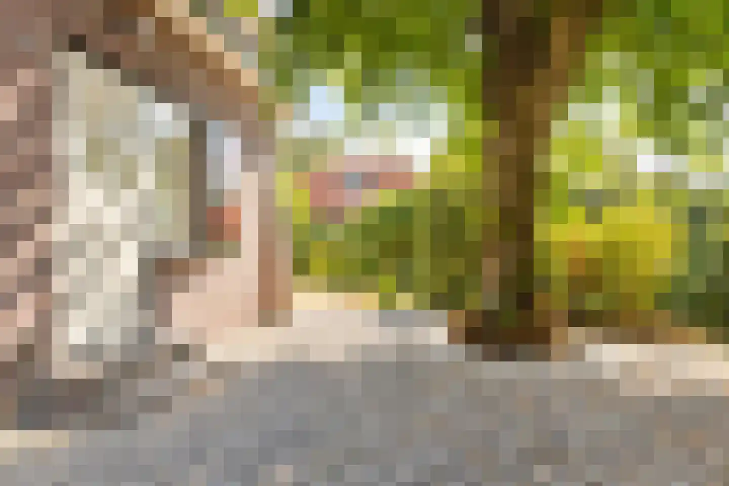 Kerkstraat 53 Wassenaar thumbnail 37
