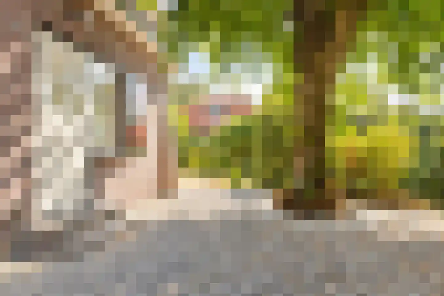 Kerkstraat 53 Wassenaar thumbnail 37