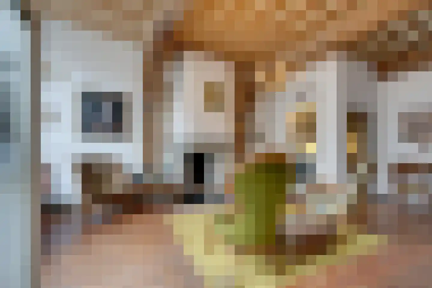 Kerkstraat 54 Monnickendam thumbnail 17