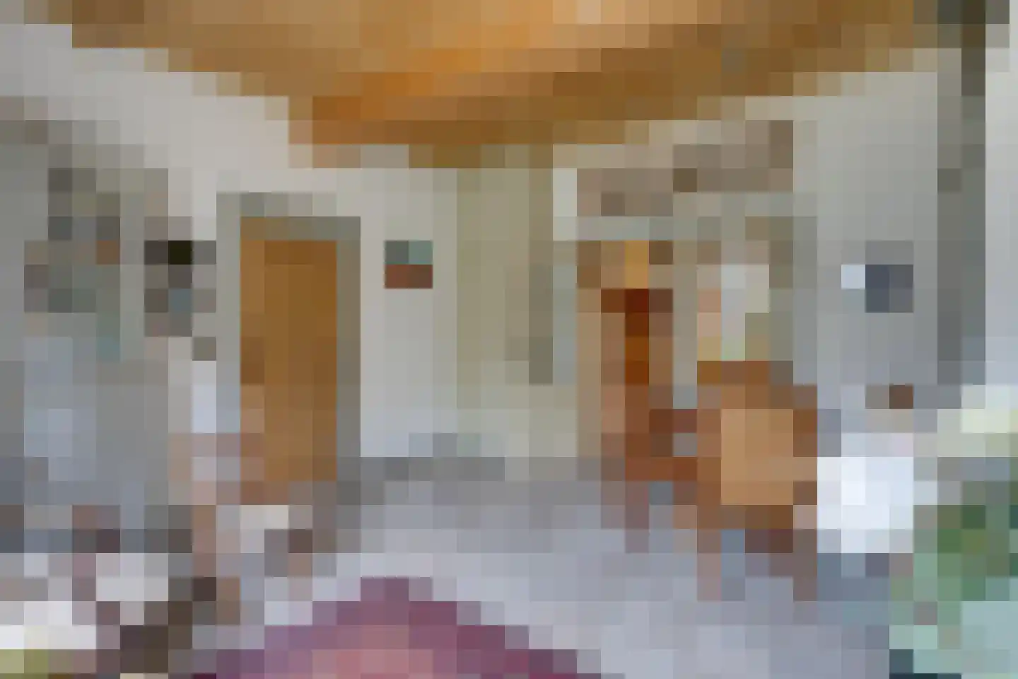 Kerkstraat 54 Monnickendam thumbnail 25