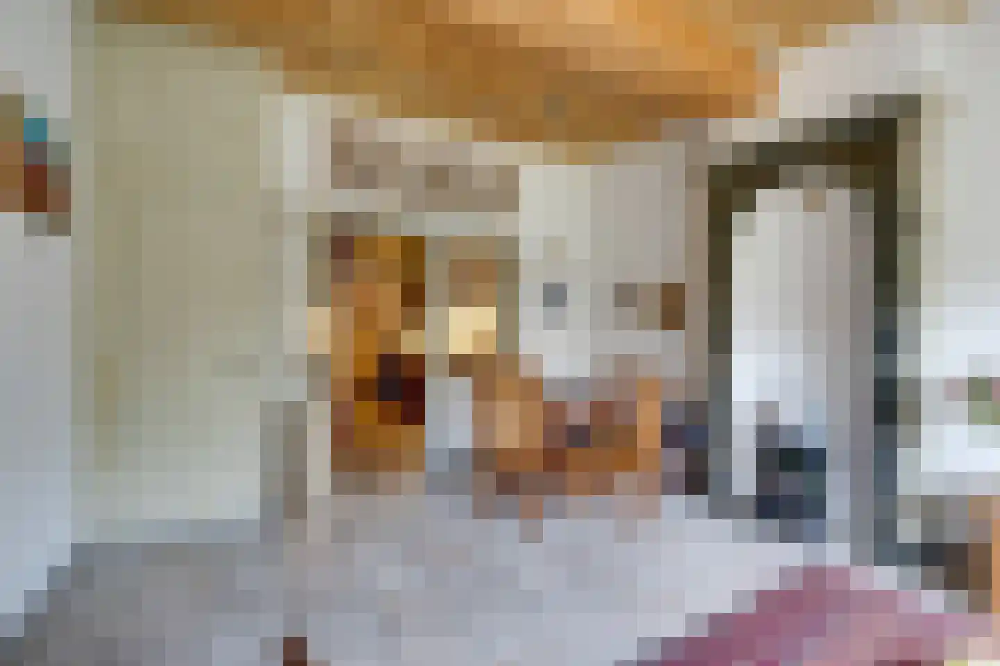 Kerkstraat 54 Monnickendam thumbnail 26