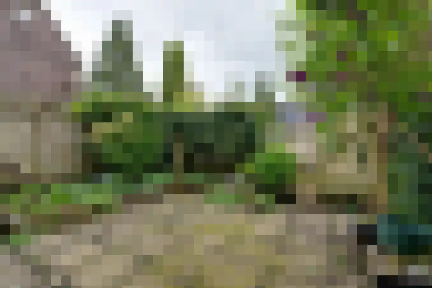 Kerkstraat 54 Monnickendam thumbnail 35