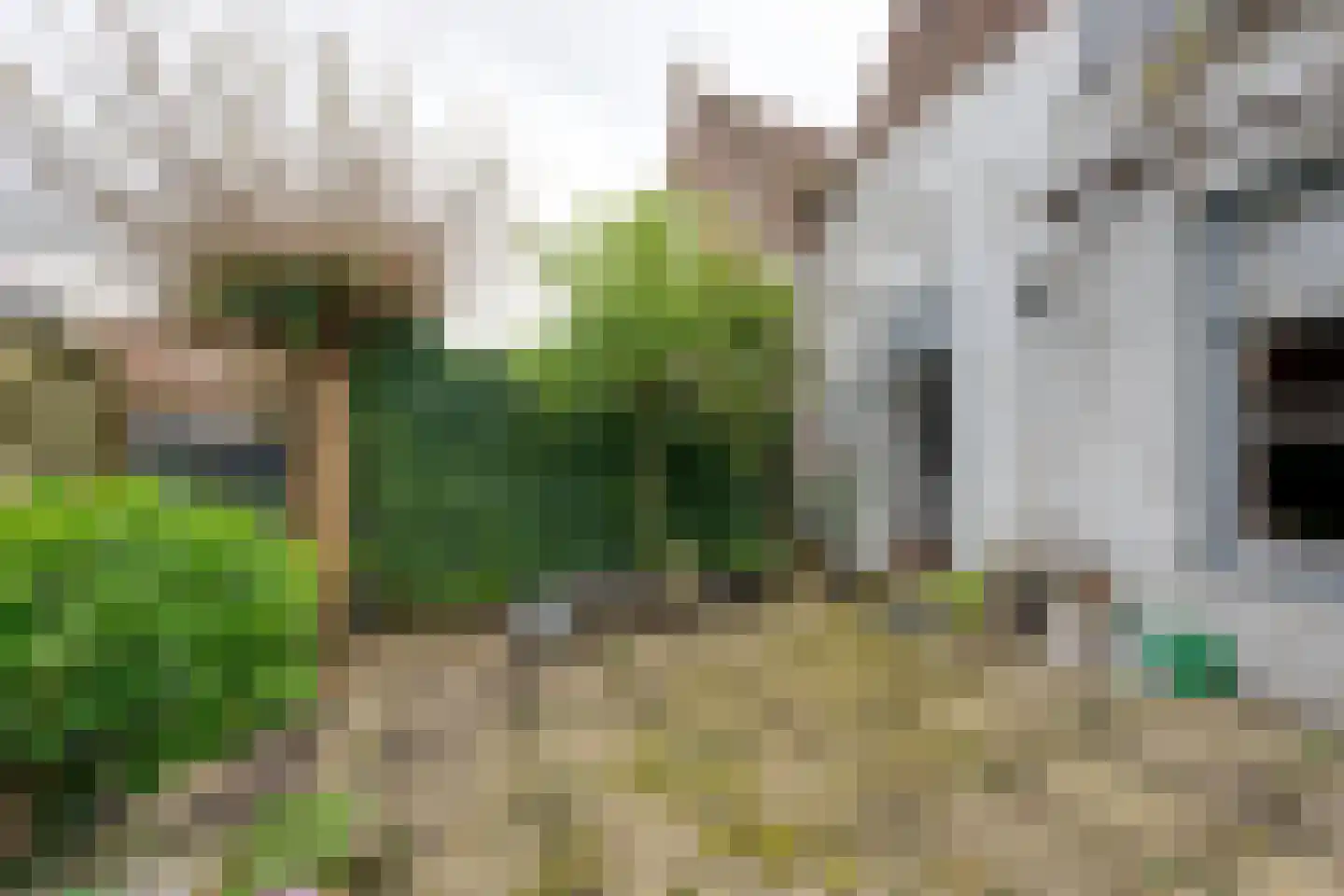 Kerkstraat 54 Monnickendam thumbnail 39