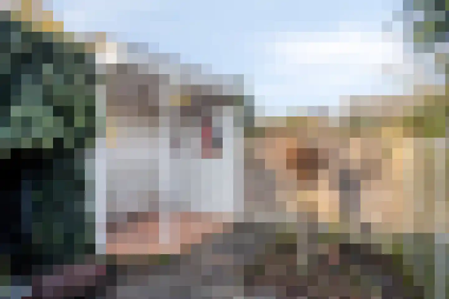 Kerkstraat 54 Nuenen thumbnail 34