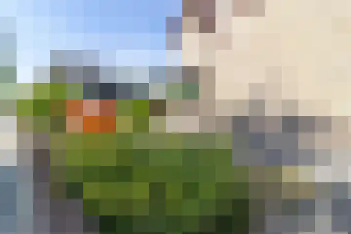 Kerkstraat 54 Soest thumbnail 24