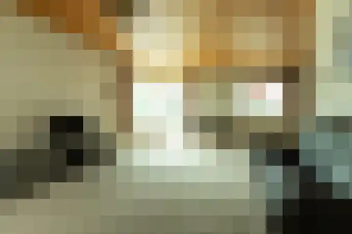 Kerkstraat 54 Soest thumbnail 4