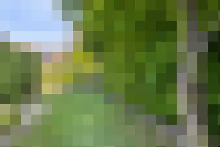 Kerkstraat 54 Wolvega thumbnail 30