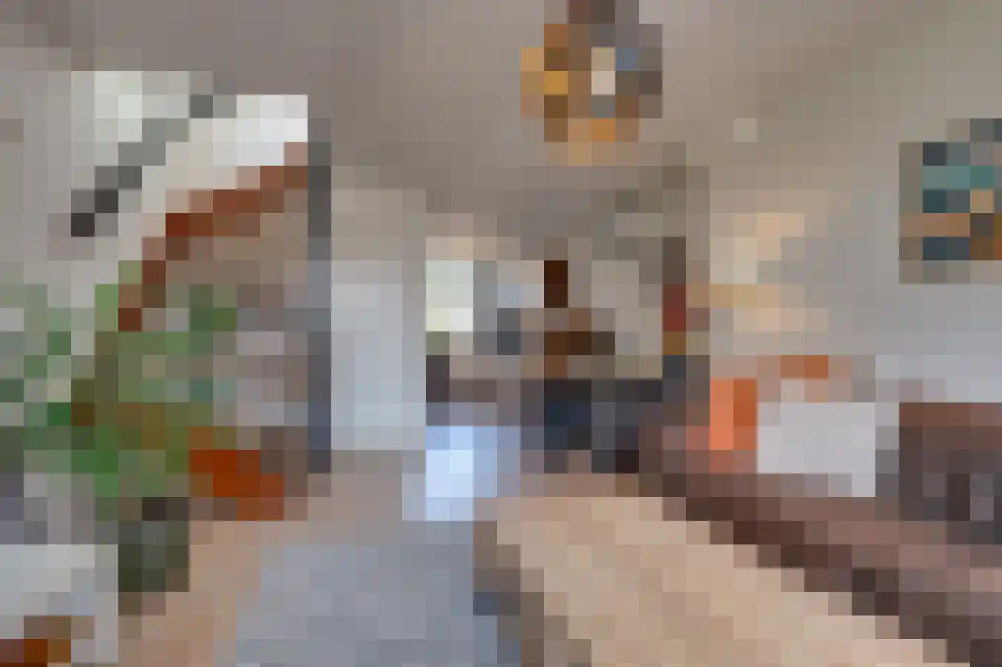 Kerkstraat 54 Woudrichem thumbnail 10