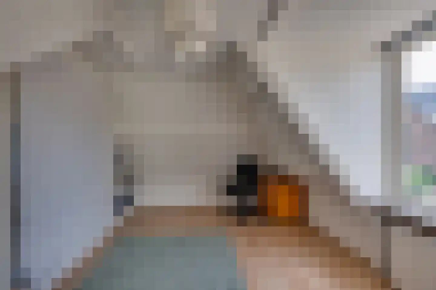 Kerkstraat 54 Woudrichem thumbnail 15