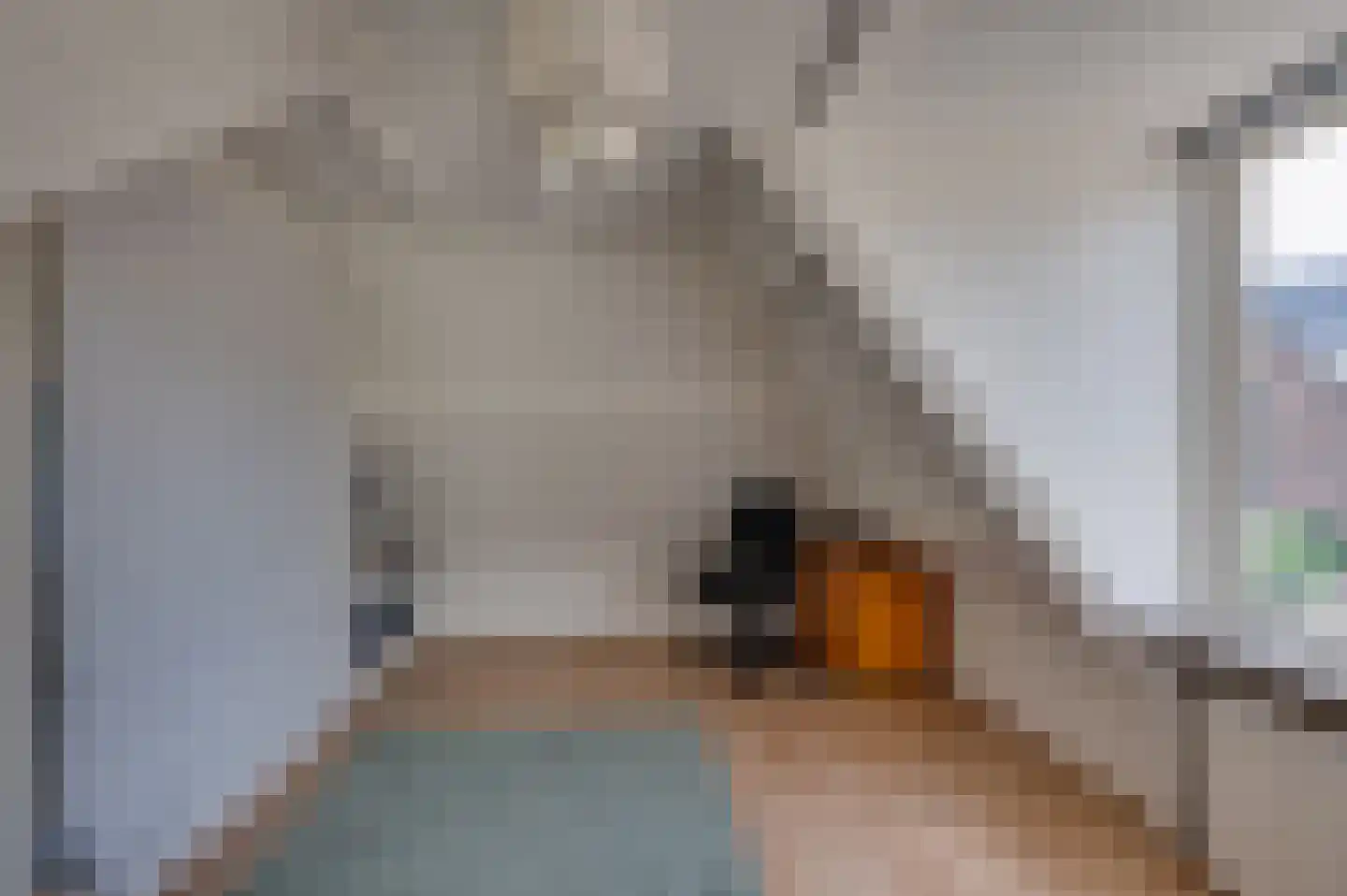 Kerkstraat 54 Woudrichem thumbnail 15