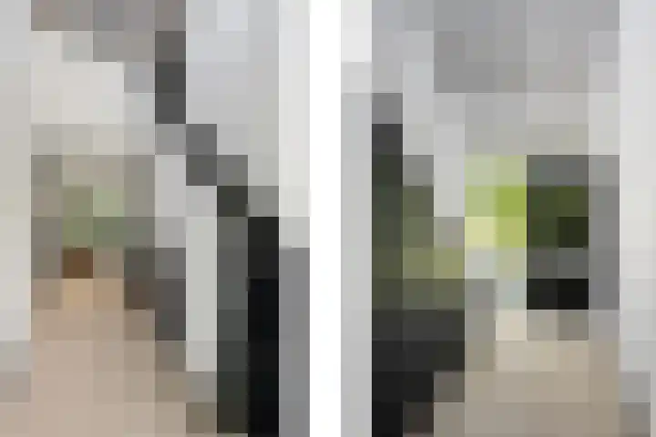 Kerkstraat 55 a Strijen thumbnail 10