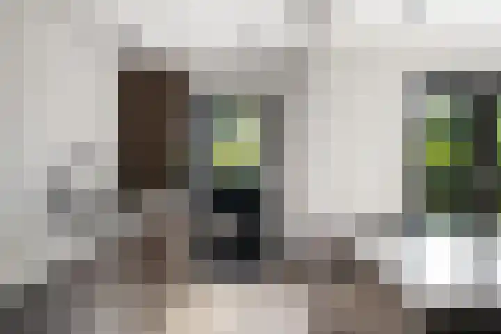 Kerkstraat 55 a Strijen thumbnail 14