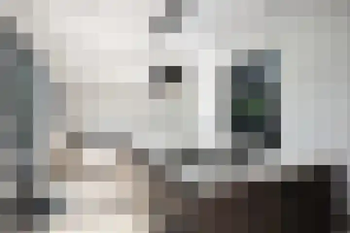 Kerkstraat 55 a Strijen thumbnail 15
