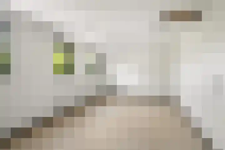 Kerkstraat 55 a Strijen thumbnail 27