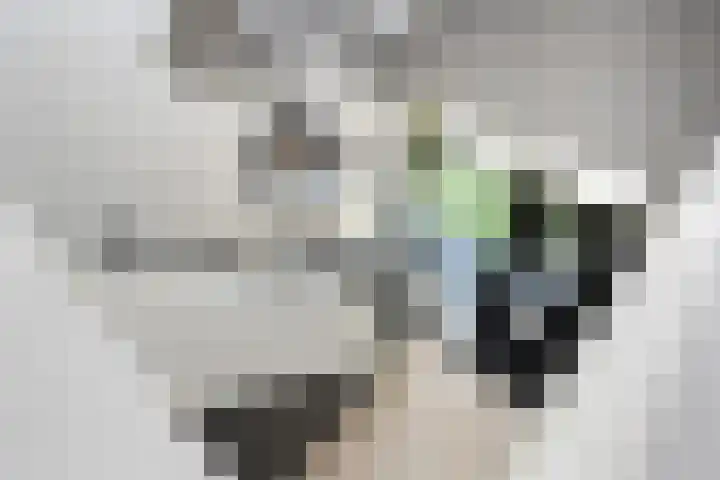 Kerkstraat 55 a Strijen thumbnail 4