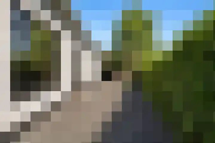 Kerkstraat 55 a Strijen thumbnail 49