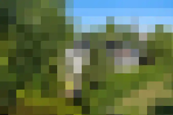 Kerkstraat 55 a Strijen thumbnail 6