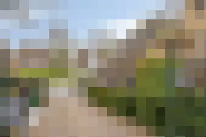 Kerkstraat 55 Alblasserdam thumbnail 29