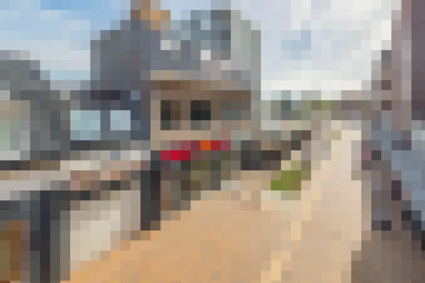 Kerkstraat 55 B Tegelen thumbnail 23