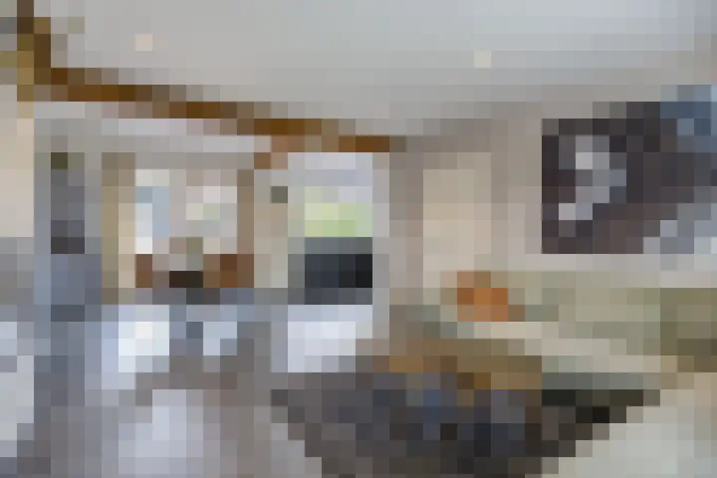 Kerkstraat 55 Etten-Leur thumbnail 10