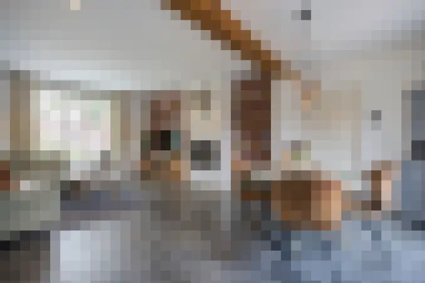 Kerkstraat 55 Etten-Leur thumbnail 15