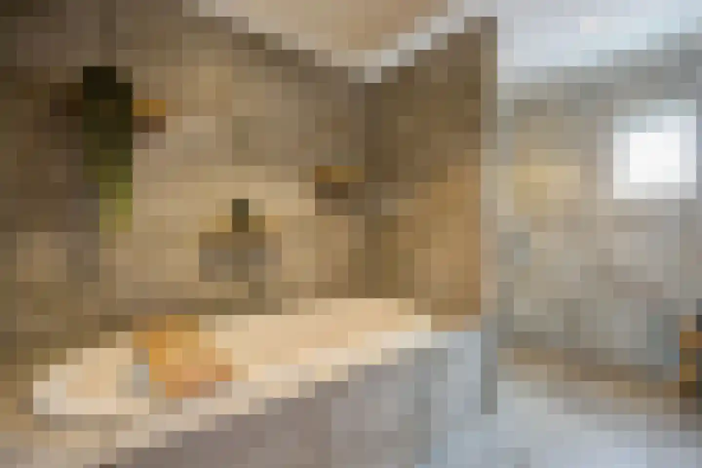Kerkstraat 55 Etten-Leur thumbnail 25