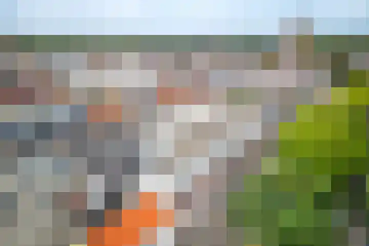 Kerkstraat 55 G Noordwijk thumbnail 42