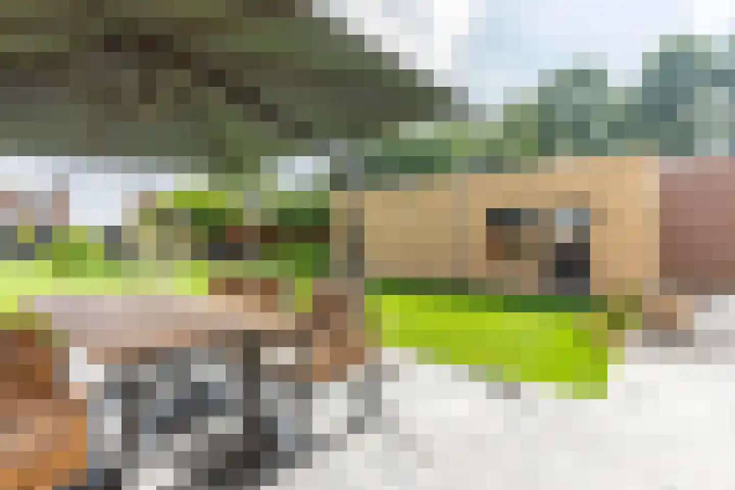 Kerkstraat 55 Landgraaf thumbnail 26