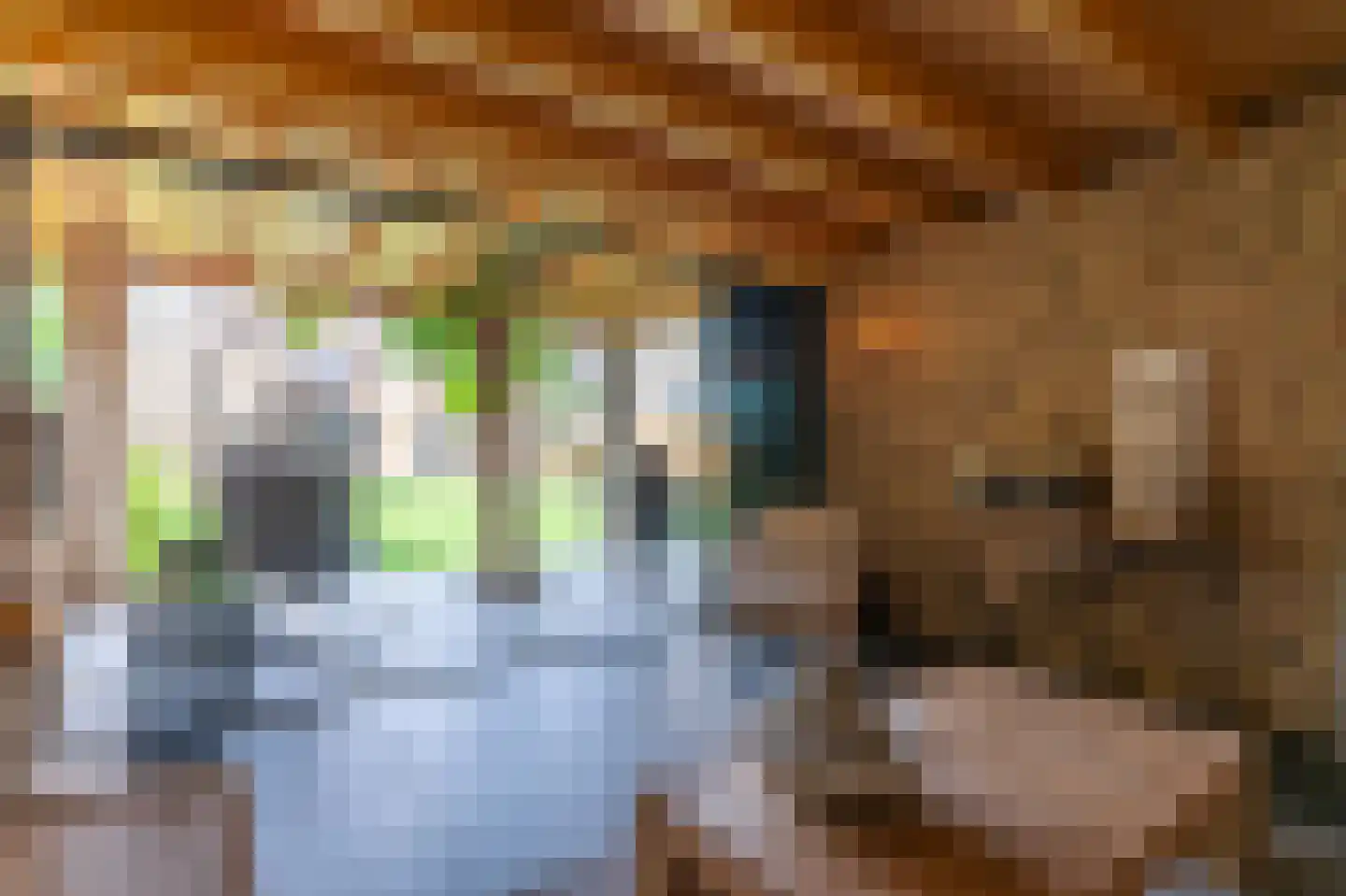 Kerkstraat 55 Landgraaf thumbnail 29