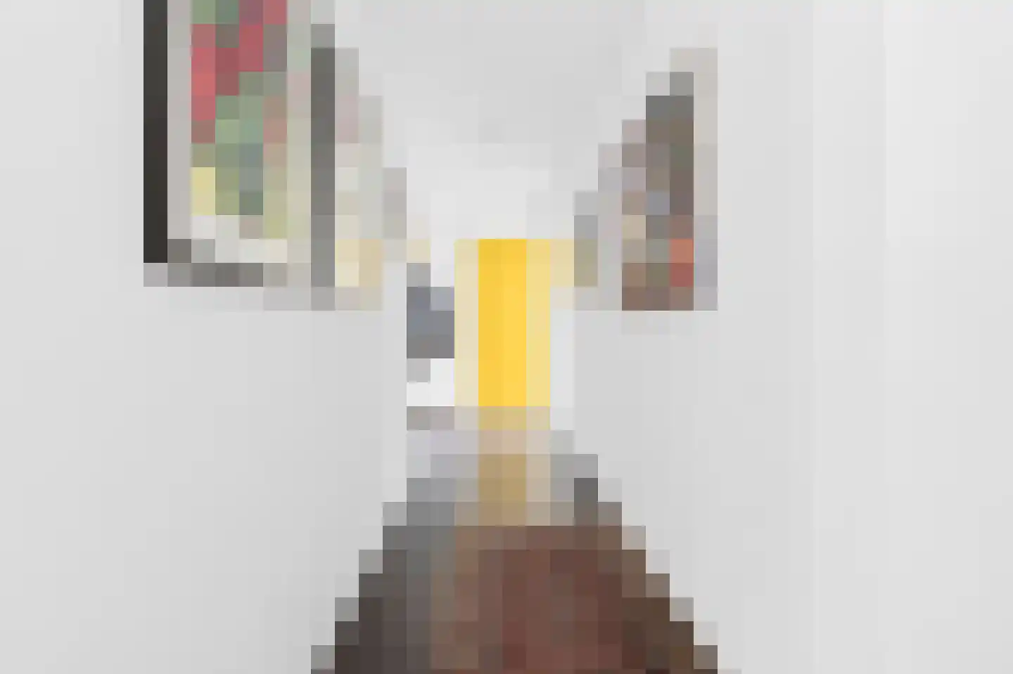 Kerkstraat 55 Vollenhove thumbnail 10