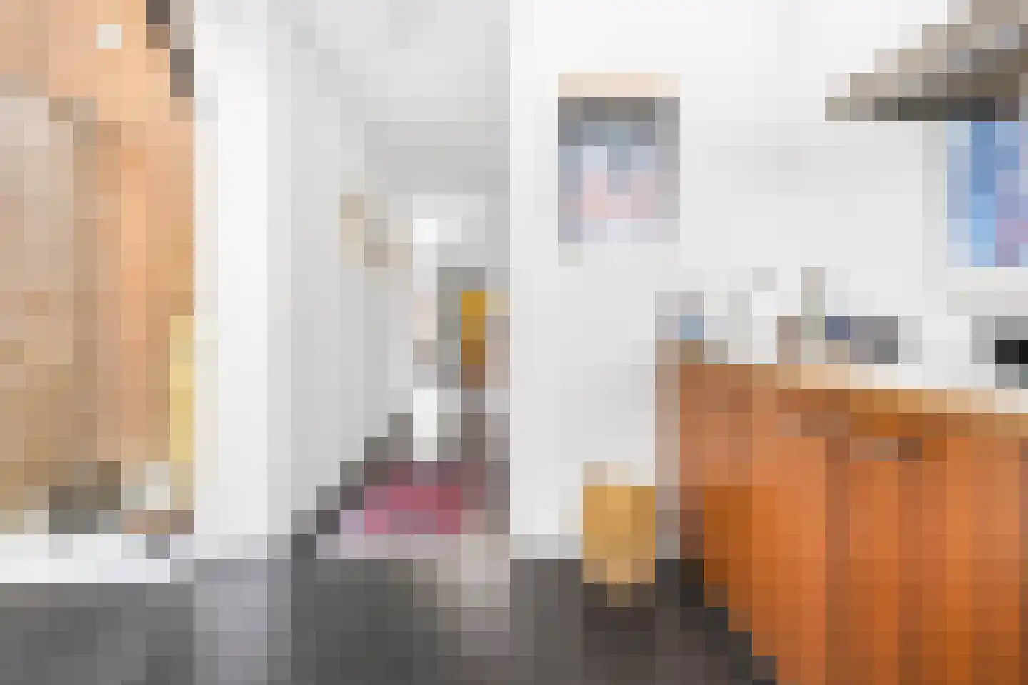 Kerkstraat 55 Vollenhove thumbnail 16