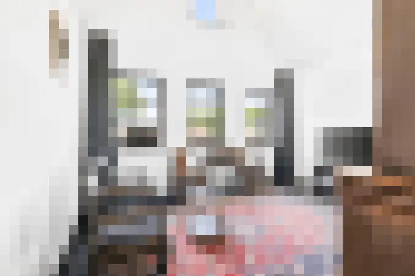 Kerkstraat 55 Vollenhove thumbnail 29
