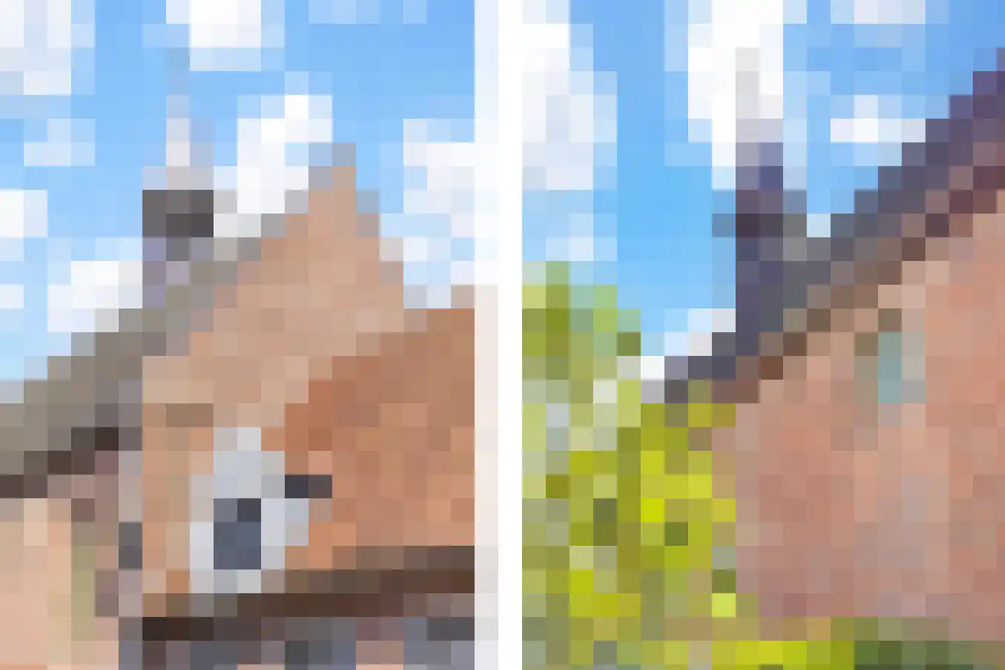 Kerkstraat 55 Vollenhove thumbnail 4