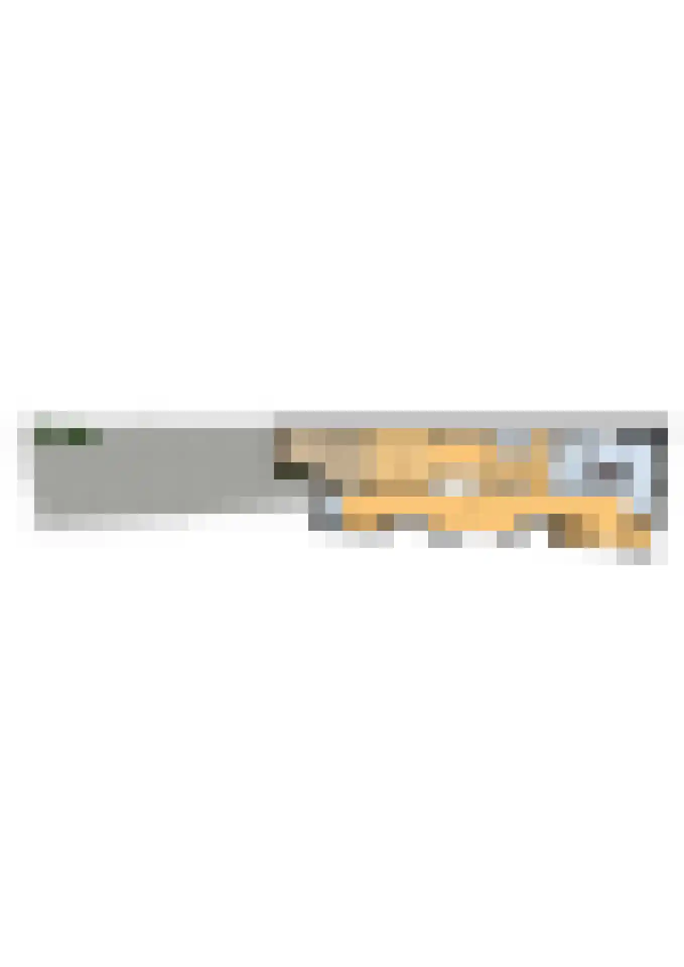 Kerkstraat 55 Vollenhove thumbnail 43