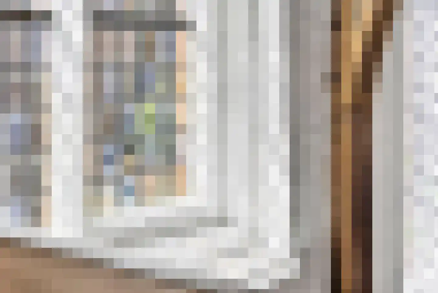 Kerkstraat 55 Vollenhove thumbnail 59