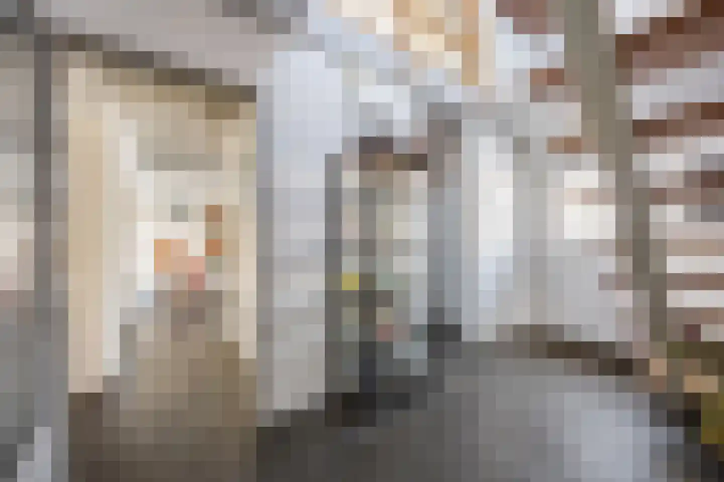 Kerkstraat 56 Bavel thumbnail 13