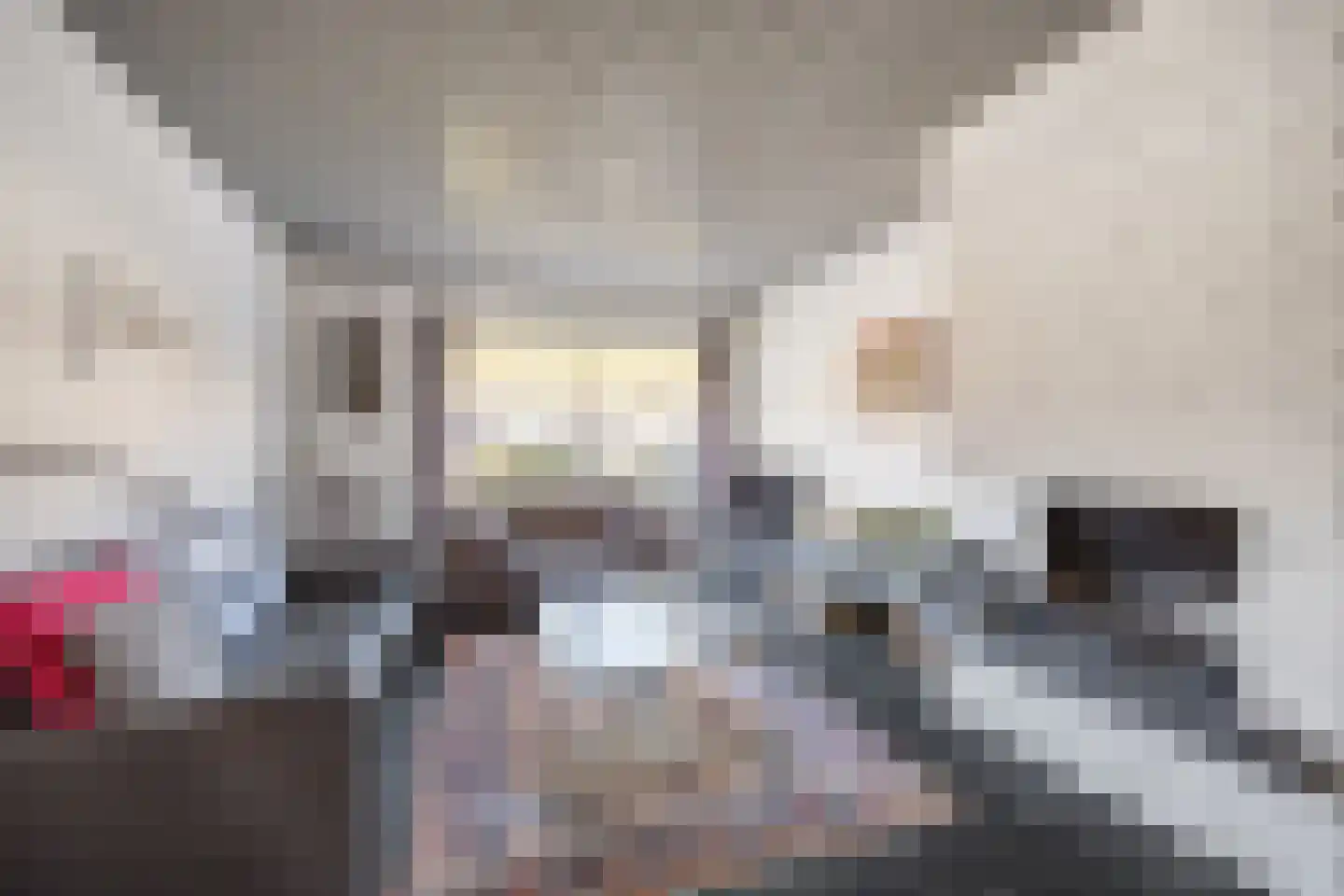 Kerkstraat 56 Bavel thumbnail 16