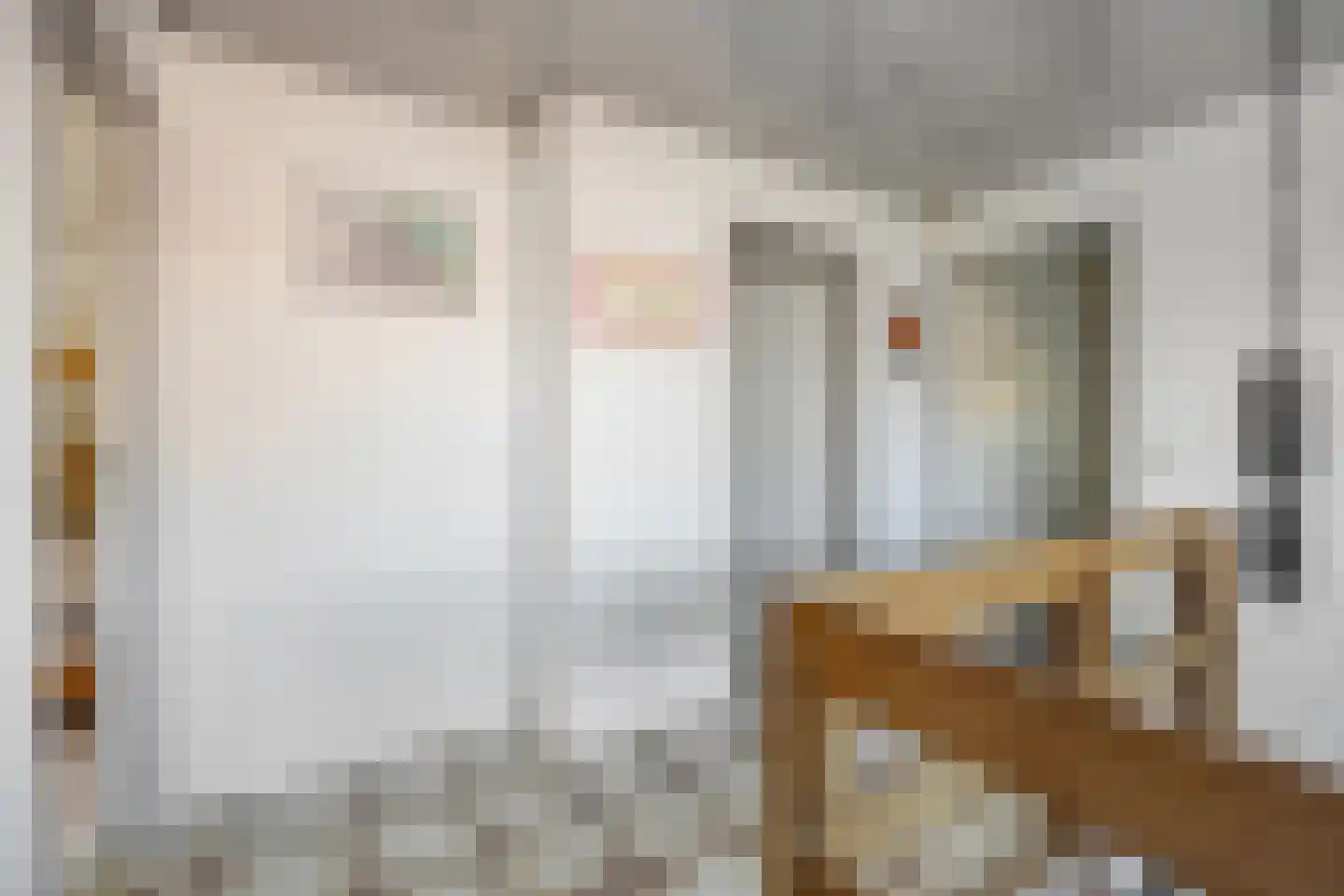 Kerkstraat 56 Bavel thumbnail 37