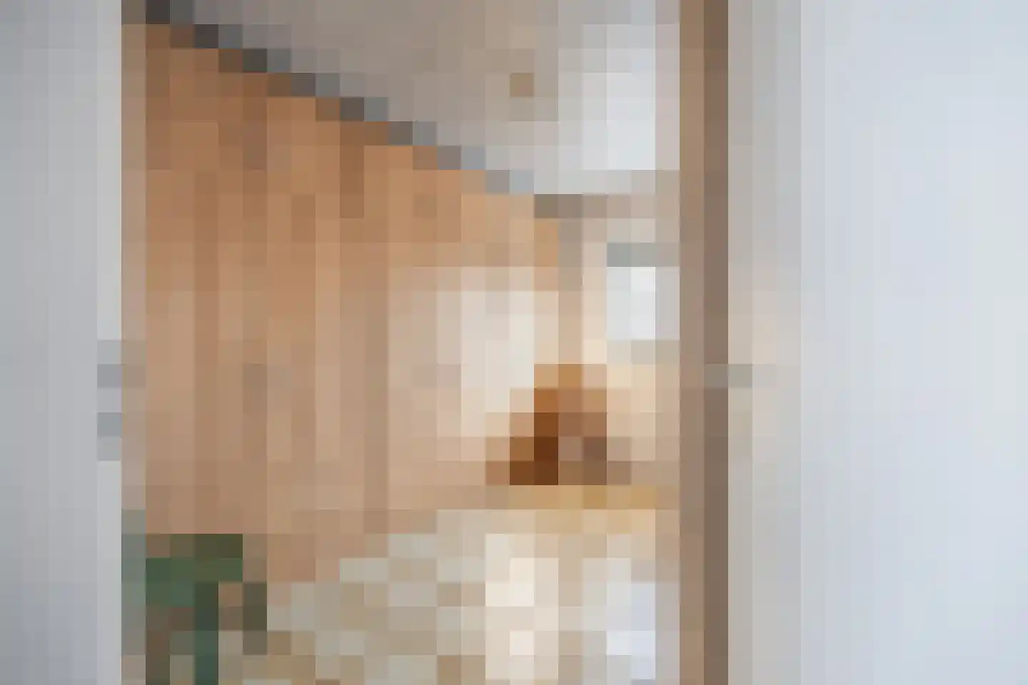 Kerkstraat 56 Bavel thumbnail 38