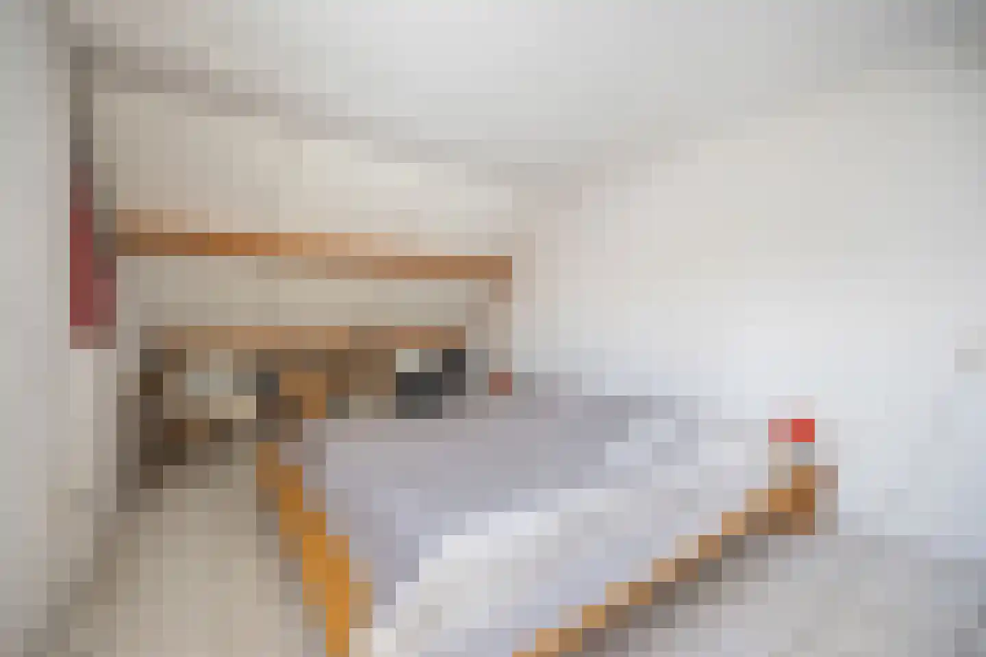 Kerkstraat 56 Bavel thumbnail 42