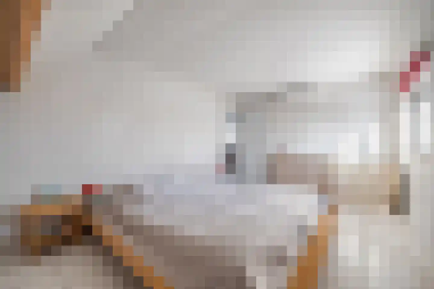 Kerkstraat 56 Bavel thumbnail 43
