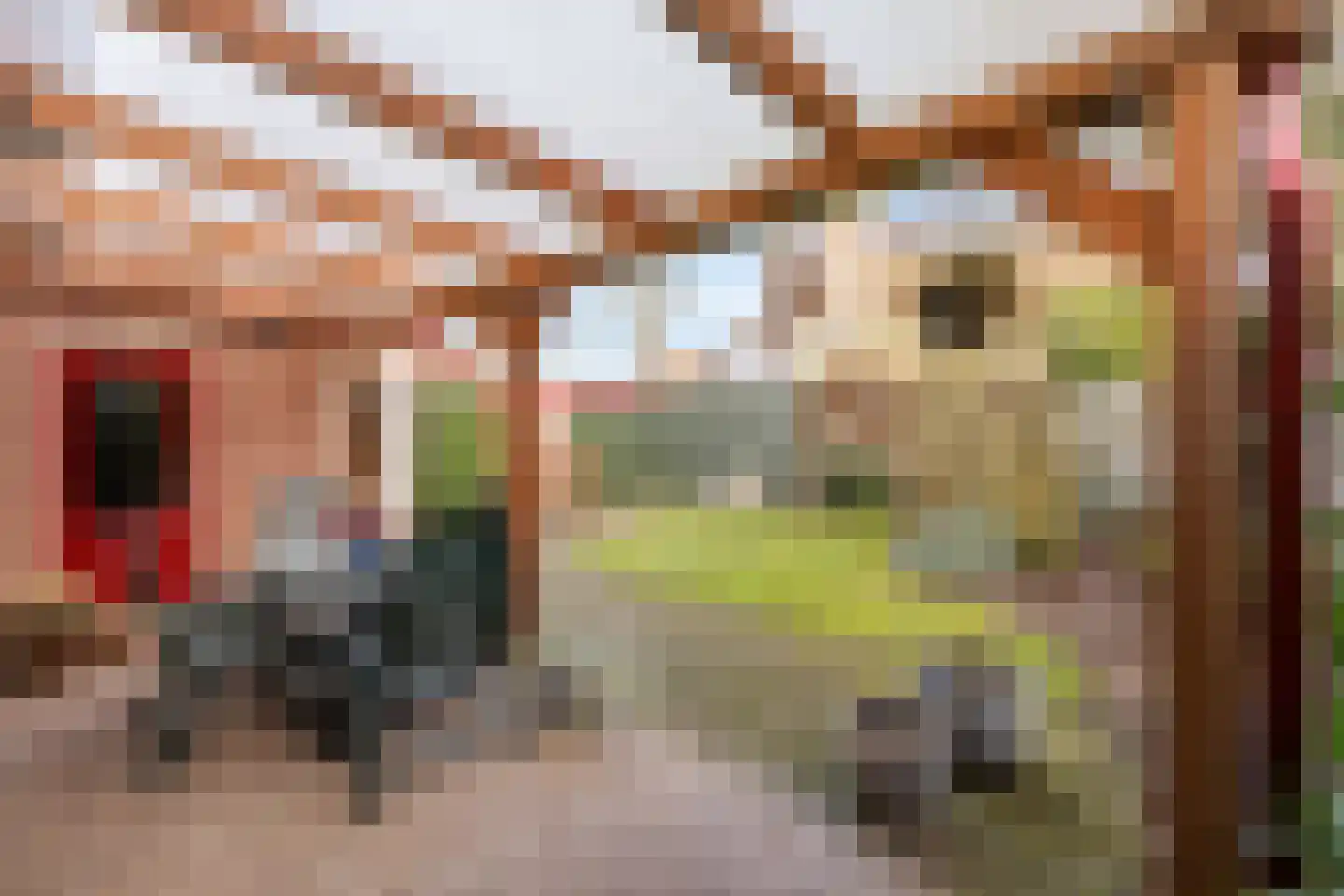 Kerkstraat 56 Bavel thumbnail 55