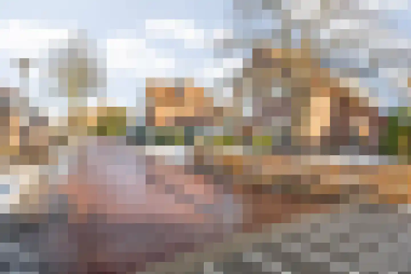 Kerkstraat 56 Bavel thumbnail 7