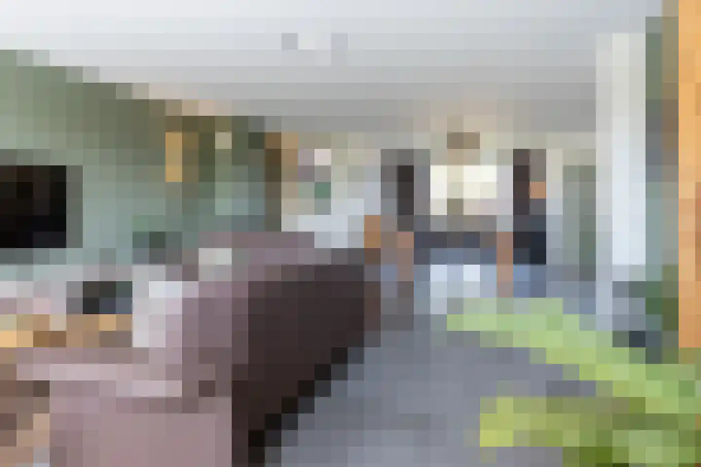Kerkstraat 56 Ossendrecht thumbnail 12