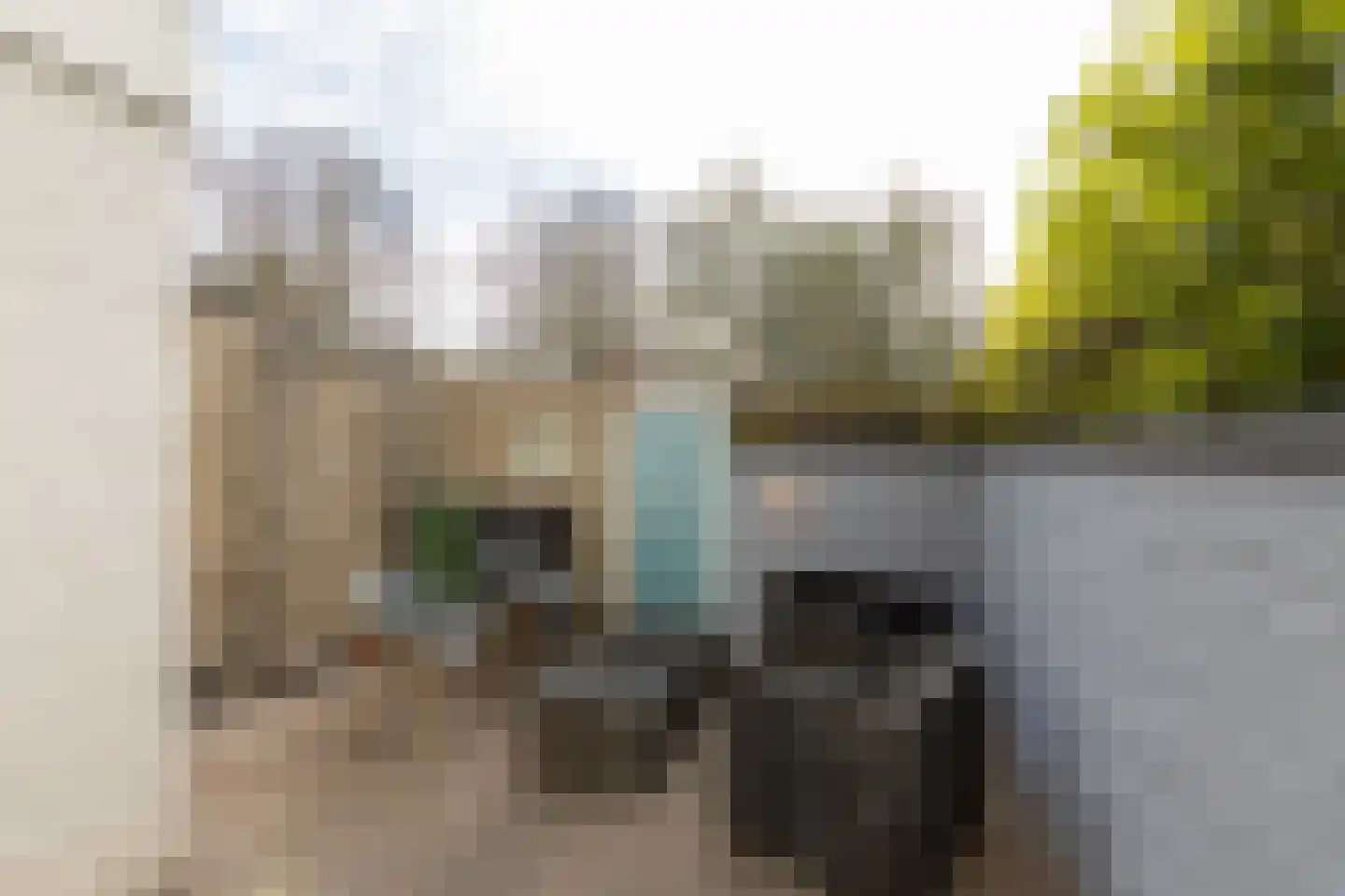 Kerkstraat 57 Bolsward thumbnail 32