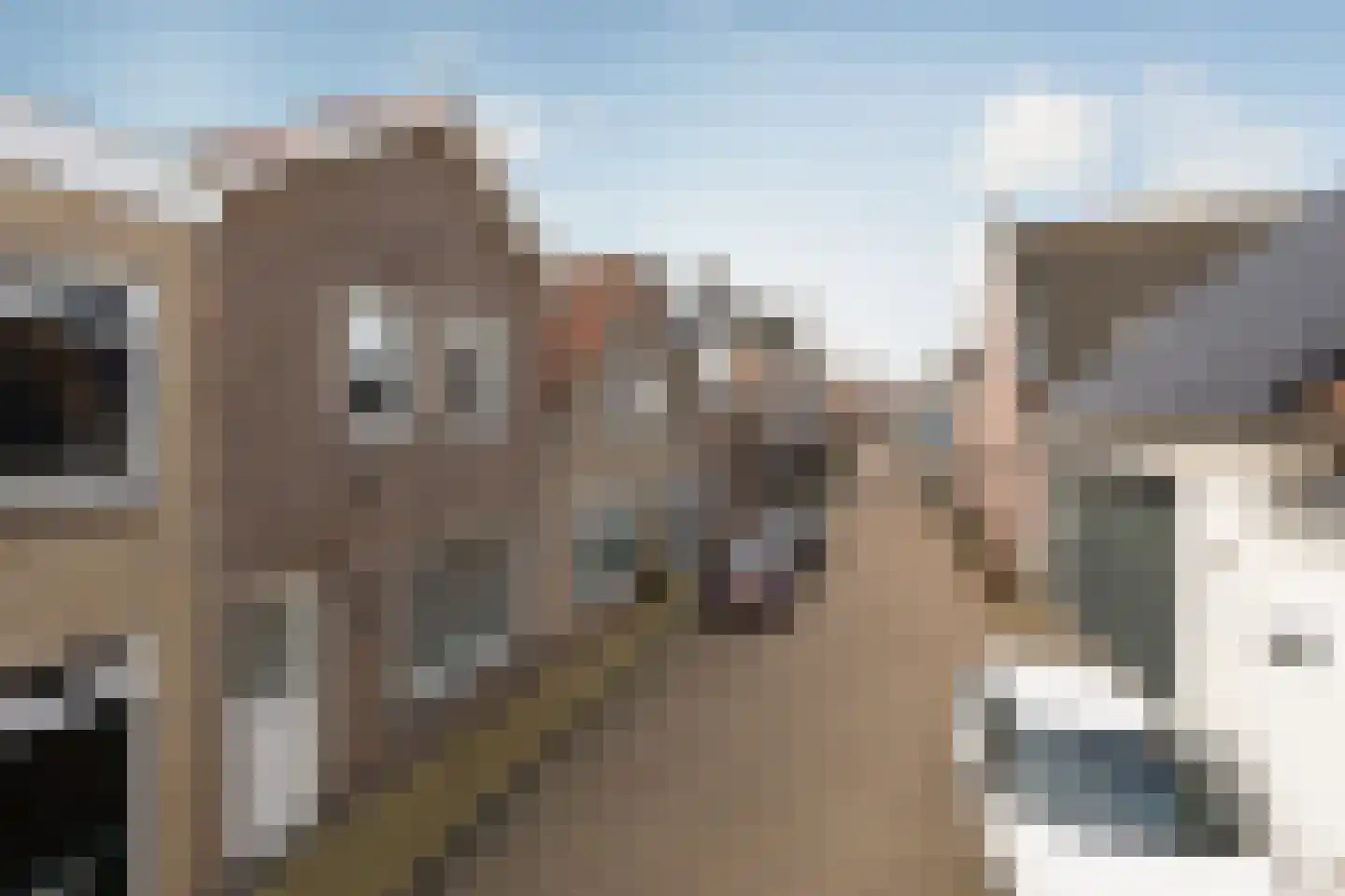 Kerkstraat 57 Bolsward thumbnail 34